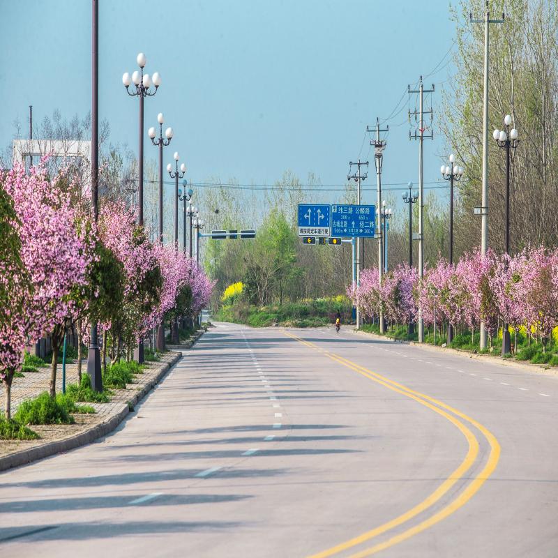 沿途皆風(fēng)景，欣賞舒城經(jīng)濟(jì)開發(fā)區(qū)“路之美”