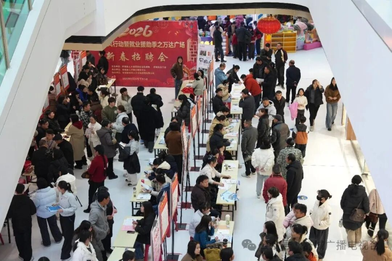 我縣舉辦“春風(fēng)行動”暨就業(yè)援助季之萬達廣場新春招聘會